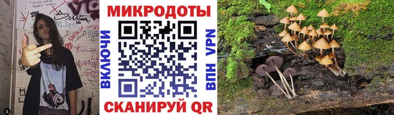 Псилоцибиновые грибы мухоморы  Купить закладки  Кедровый 